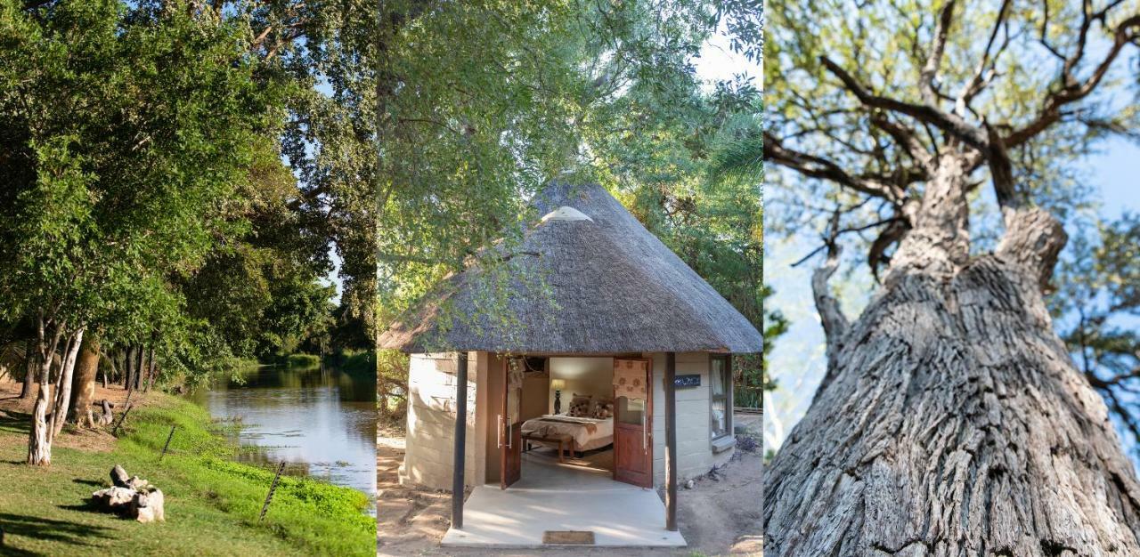 Villa Malilule Safaris Hoedspruit Exterior foto